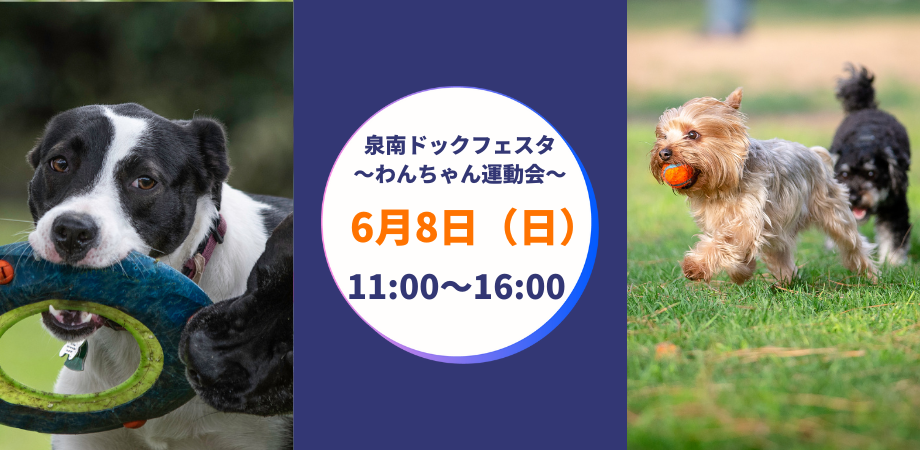 泉南ドッグフェスタ　〜わんちゃん運動会〜