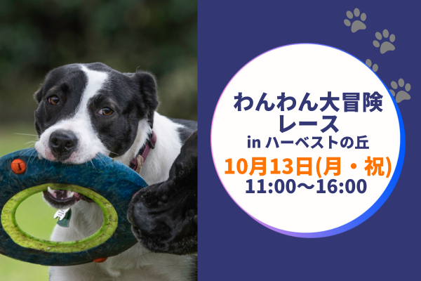 【10/13(月・祝)開催!】わんわん大冒険レース in ハーベストの丘