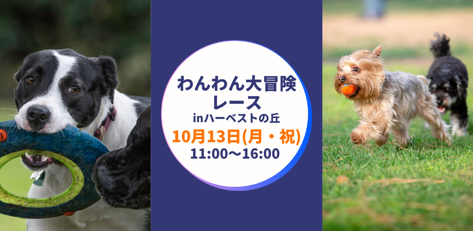 【10/13(月・祝)開催！】わんわん大冒険レース in ハーベストの丘